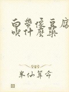 白带像豆腐渣该吃什么药