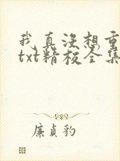我真没想重生啊txt精校全集下载