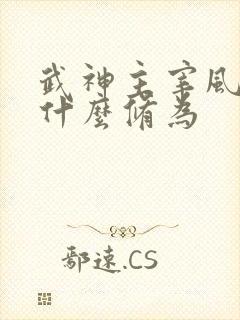 武神主宰风少羽什么修为