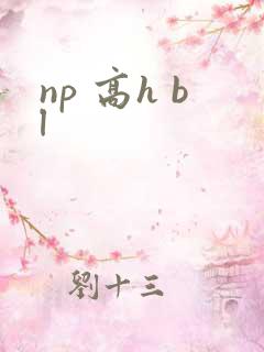 np 高h bl