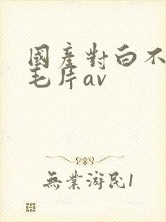 国产对白不带套毛片av