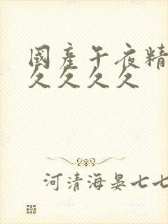 国产午夜精品久久久久久