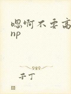 嗯啊不要高h np