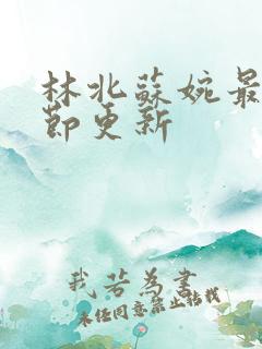 林北苏婉最新章节更新