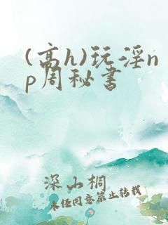 (高h)玩淫np周秘书