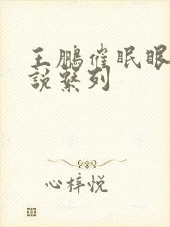 王鹏催眠眼镜小说系列