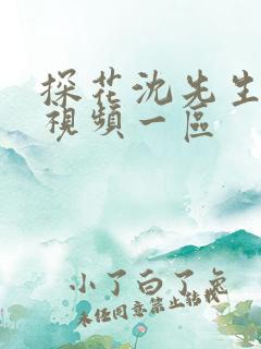 探花沈先生在线视频一区