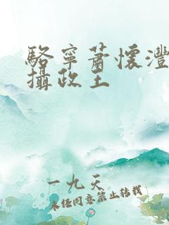 骆宁萧怀沣改嫁摄政王