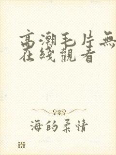 高潮毛片无遮挡在线观看