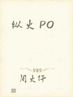 纵火 PO