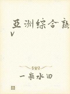 亚洲综合熟女av