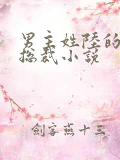 男主姓陆的所有总裁小说