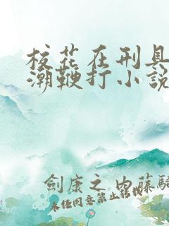 校花在刑具上高潮鞭打小说