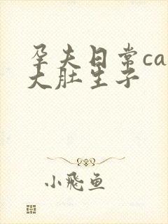 孕夫日常cao大肚生子