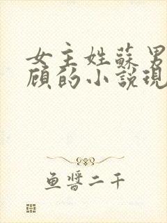 女主姓苏男主姓顾的小说现代言情