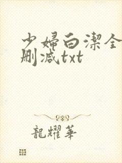 少妇白洁全文无删减txt