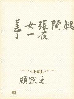 美女张开腿让我了一夜