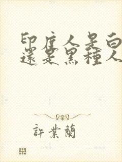 印度人是白种人还是黑种人