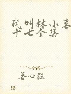 我叫林小喜今年十七全集