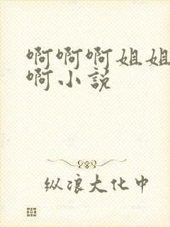 啊啊啊姐姐啊啊啊小说