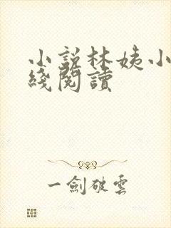 小说林姨小浩在线阅读