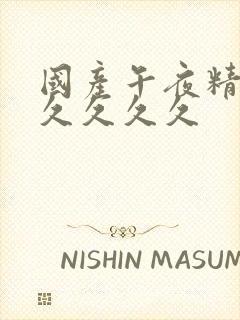 国产午夜精品久久久久久