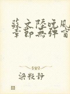 苏文陆晚风最新章节无弹窗笔趣阁