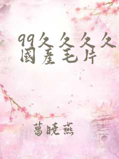 99久久久久久国产毛片