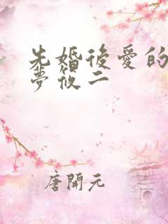 先婚后爱的小说梦筱二