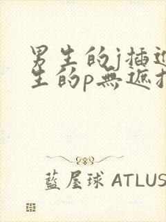 男生的j插进女生的p无遮挡