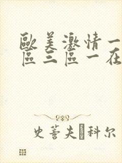 欧美激情一区二区三区一在线