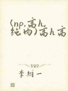 (np,高h,纯肉)高h高辣