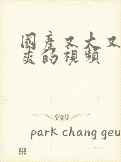 国产又大又猛又爽的视频