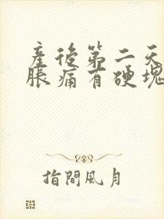 产后第二天乳房胀痛有硬块怎么办