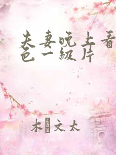 夫妻晚上看的黄色一级片