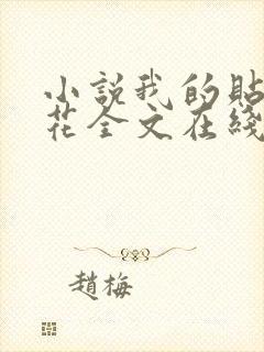 小说我的贴身校花全文在线阅读