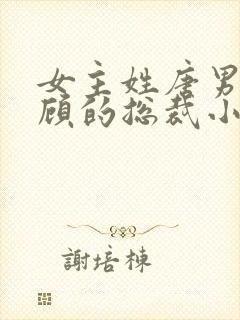 女主姓唐男主姓顾的总裁小说