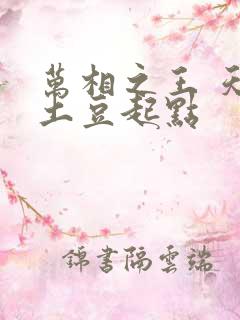 万相之王 天蚕土豆起点