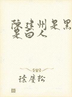 陈建州是黑人还是白人