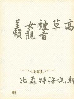美女被草高清视频观看