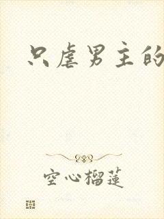 只虐男主的小说