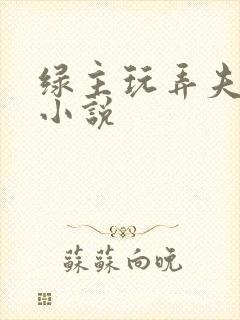 绿主玩弄夫妻奴小说