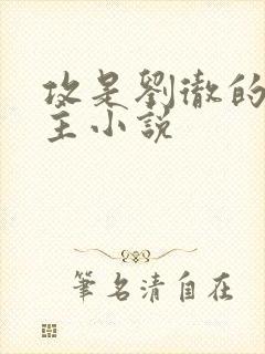 攻是刘彻的双男主小说