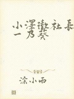 小泽彻社长秘书一乃葵