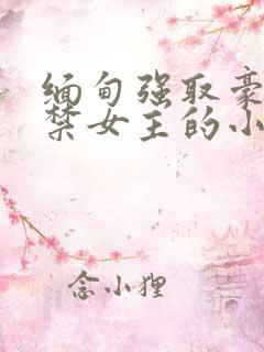 缅甸强取豪夺囚禁女主的小说