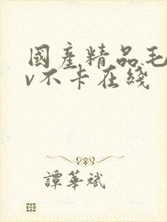 国产精品毛片av不卡在线