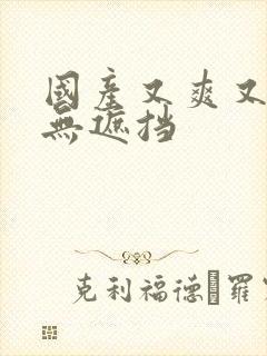 国产又爽又黄又无遮挡