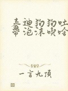 泰迪狗狗吐黄水带泡沫吃啥药