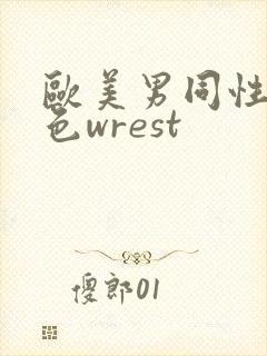 欧美男同性恋黄色wrest