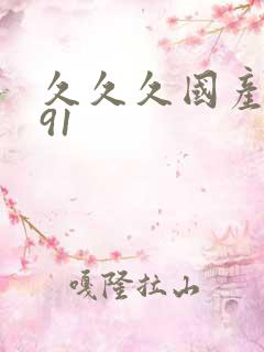 久久久国产成人91